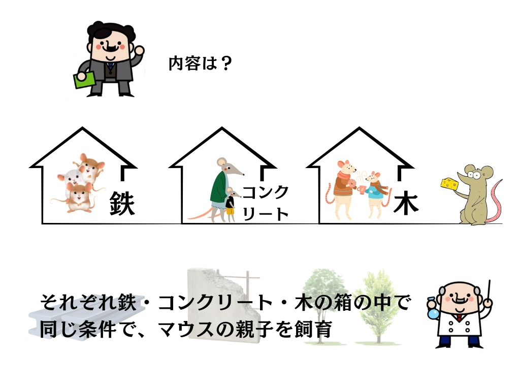 土岐市で健康的に暮らせる木の家を造るならワダハウジング